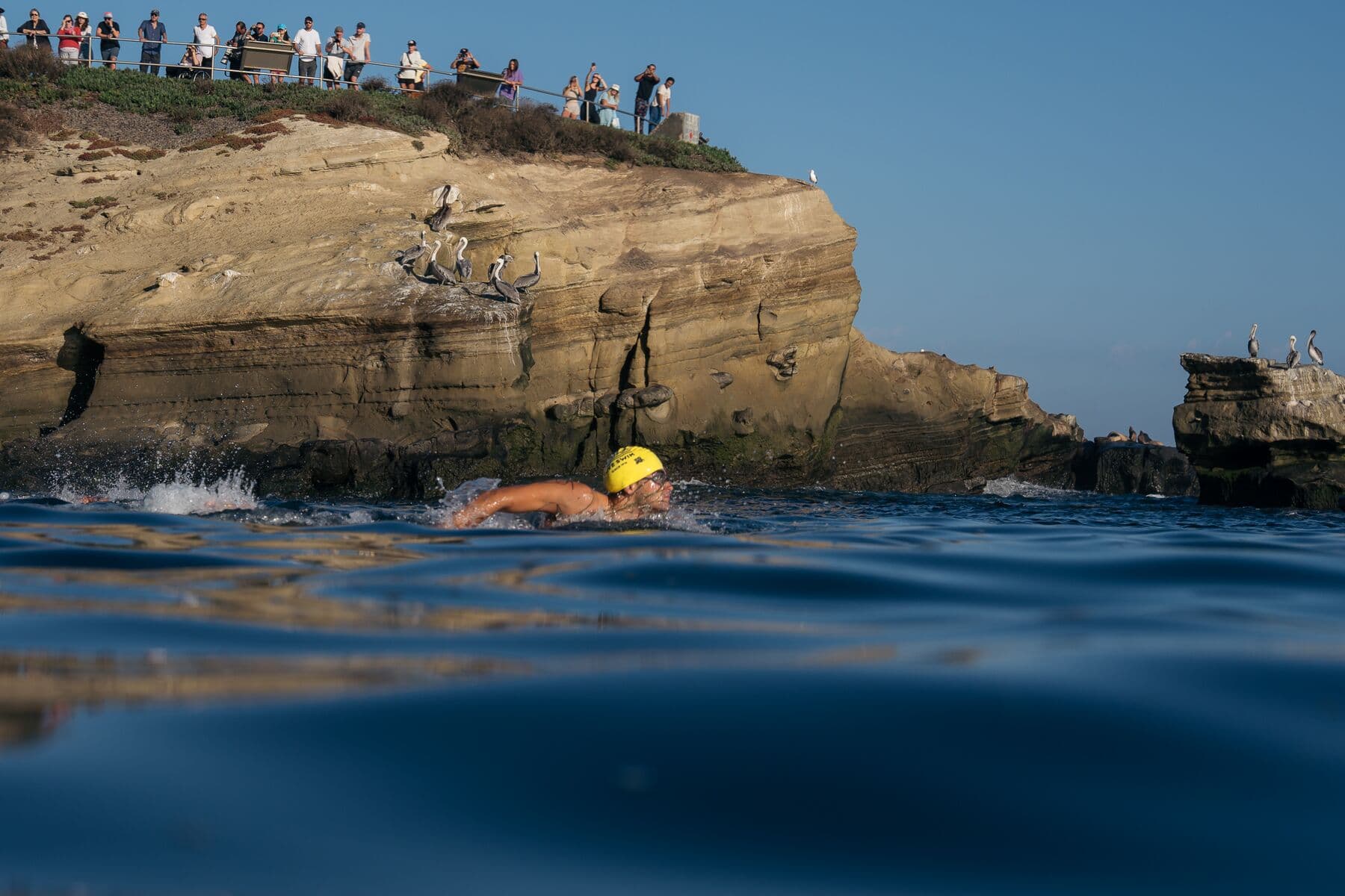 Ocean Advocacy